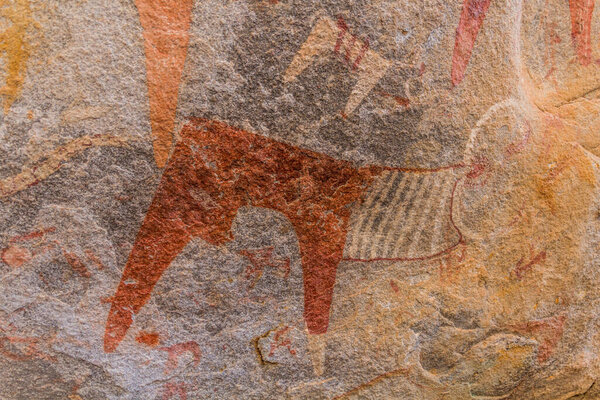  Laas Geel rock paintings depicting cows, Somaliland