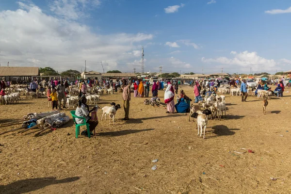 Hargeisa Somaliland Kwiecień 2019 Widok Rynek Bydła Hargeisa Stolicy Somalii — Zdjęcie stockowe