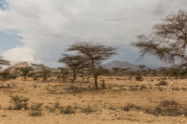 Vista Paisaje Somalilandia — Foto de Stock