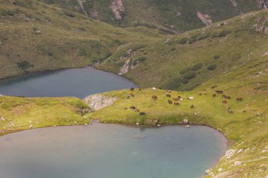 Bulgaristan 'ın Rila dağlarındaki Atlar ve Golyamata Panitsa ve Malkata Panitsa gölleri