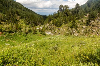 Bulgaristan 'daki Pirin dağlarının manzarası