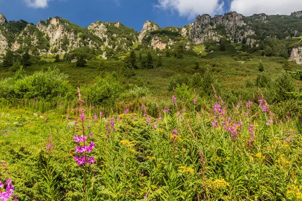 Landscape Rila Mountains Bulgaria — Stock Photo, Image