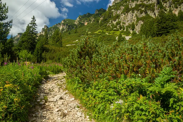 Hiking Trail Rila Mountains Bulgaria — Stock Photo, Image