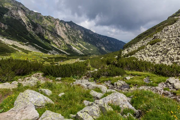 불가리아의 레일라 산맥의 — 스톡 사진