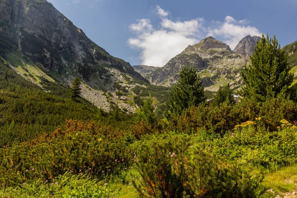 Landschaft Des Rila Gebirges Bulgarien — Stockfoto