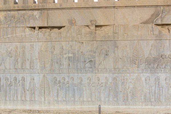 Bas Reliëfs Het Apadana Paleis Oude Persepolis Iran — Stockfoto