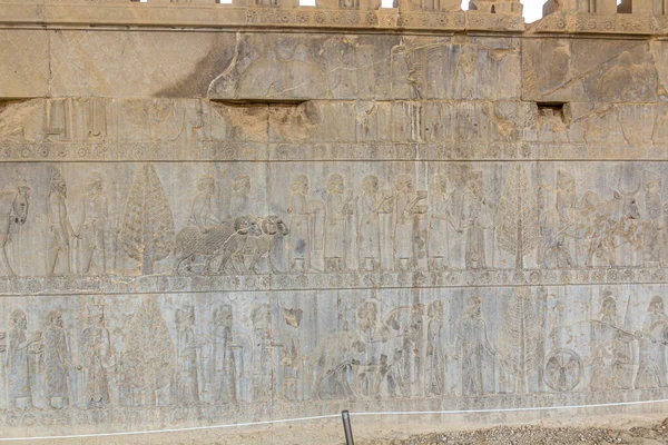 Basreliéfy Paláci Apadana Starověkém Persepolisu Írán — Stock fotografie