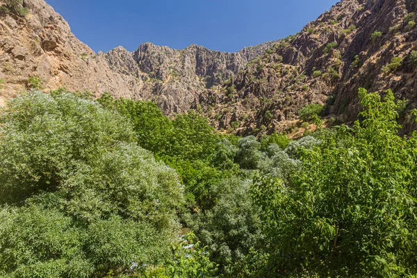 Canyon Perto Aldeia Palangan Região Curdistão Irão — Fotografia de Stock