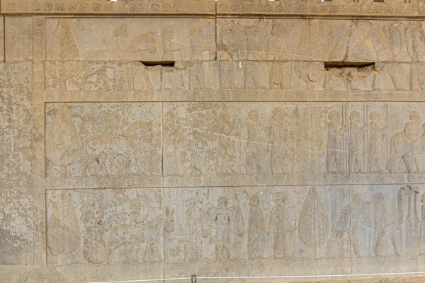 Bas Reliefs Apadana Palace Ancient Persepolis Iran — Stock Photo, Image