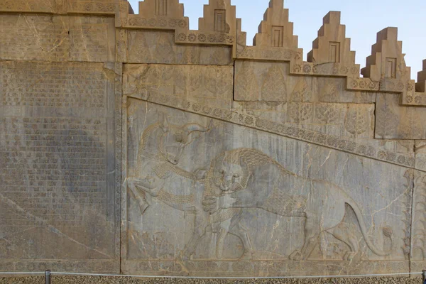 Löwe Attackiert Stier Antiken Persepolis Iran — Stockfoto