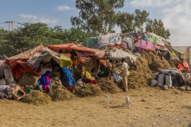 HARGEISA, SOMALILAND - APRIL 15, 2019: Straw stalls at the cattle market in Hargeisa, capital of Somaliland