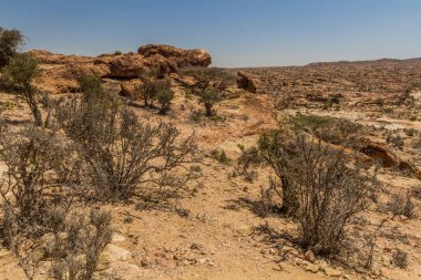 Laas Geel kaya resimleri, Somaliland çevresindeki manzara