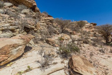 Laas Geel kaya resimleri, Somaliland çevresindeki manzara