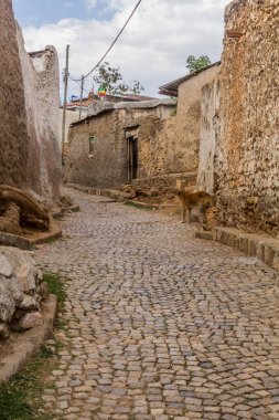 Etiyopya 'nın Harar kentindeki dar sokaklar