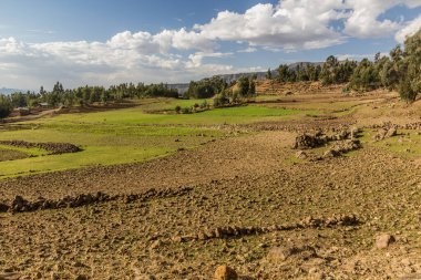 Lalibela, Etiyopya yakınlarındaki kırsal alan