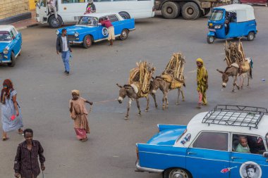 HARAR, ETHIOPIA - APRIL 8, 2019: Donkeys transport a firewood across Feres Magala square in Harar, Ethiopia