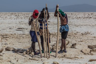 DANAKİL, ETHIOPIA - 24 Mart 2019: Danakil depresyonundaki Afar kabilesi tuz madencileri, Etiyopya.