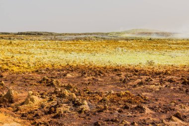 Colorful sulfuric landscape of Dallol volcanic area, Danakil depression, Ethiopia