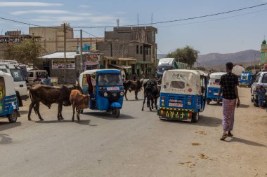DANAKIL, ETHIOPIA - MARCH 25, 2019: Tuk tuks (bajaj) and cows in a village in Afar region, Ethiopia.