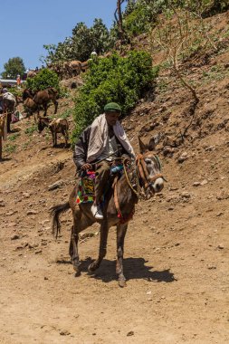 LALIBELA, ETHIOPIA - MARCH 30, 2019: Horse at the Saturday market in Lalibela, Ethiopia