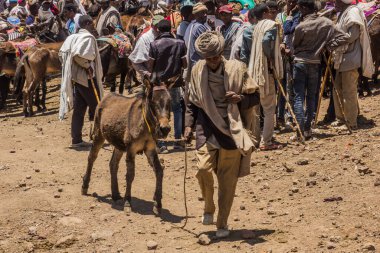 LALIBELA, ETHIOPIA - MARCH 30, 2019: Donkey at the Saturday market in Lalibela, Ethiopia