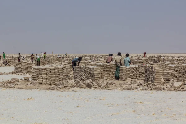 Danakil Ethiopia March 2019 Afar Tribe Salt Miners Danakil Depression — Stock Photo, Image