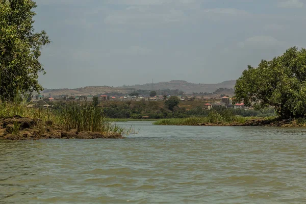 Islands Blue Nile Outlet Tana Lake Ethiopia — Foto de Stock