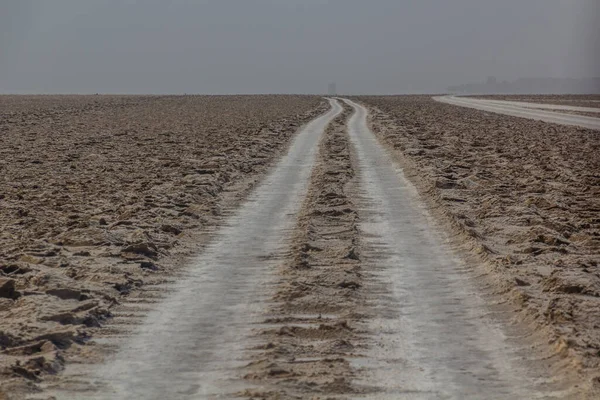 Car Tracks Salt Flats Danakil Depression Ethiopia — Stock fotografie
