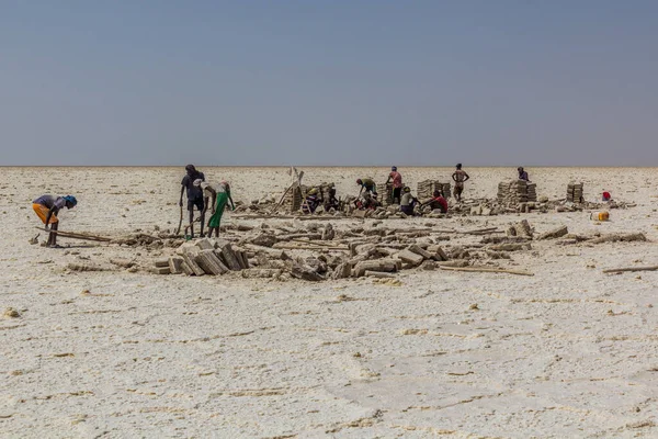 Danakil Ethiopia March 2019 Afar Tribe Salt Miners Danakil Depression — Stock Photo, Image