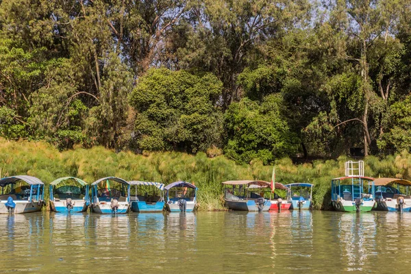 Small Boats Bahir Dar Ethiopia — Photo