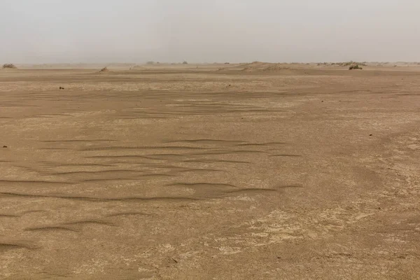 Desert Danakil Depression Ethiopia — Photo