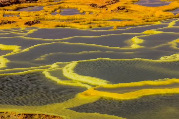 Lagoas Coloridas Paisagem Vulcânica Dallol Depressão Danakil Etiópia — Fotografia de Stock