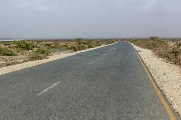 Road Jijiga Wajale Eastern Ethiopia — Stockfoto