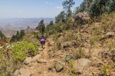 Etiyopya 'nın Kosoye köyü yakınlarındaki dağlarda silahlı gözcü.