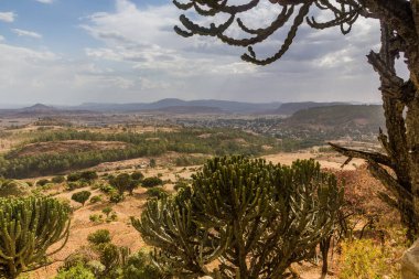Axum, Etiyopya yakınlarındaki kırsal alan