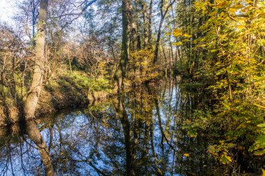 Çek Cumhuriyeti Prag 'daki Botic akışının sonbahar manzarası