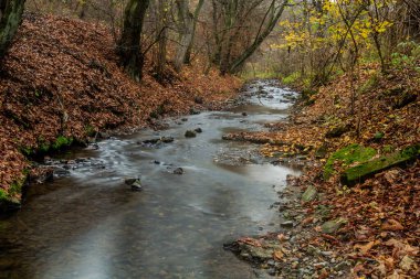Çek Cumhuriyeti Prag 'daki Dalejsky potok akıntısının sonbahar manzarası