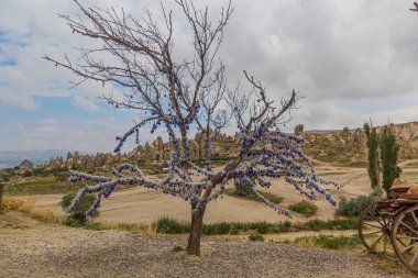 Kapadokya 'nın Goreme kasabası yakınlarındaki bir ağaca nazar boncuğu takıldı
