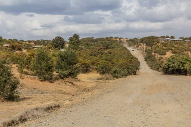 Simien dağlarındaki kırsal yol, Etiyopya