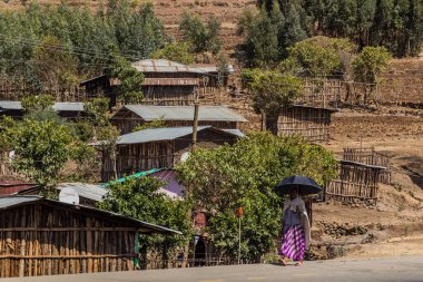 WOLLEKA, ETHIOPIA - 14 Mart 2019: Wolleka Köyü, Etiyopya.