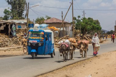 AXUM, ETHIOPIA - 20 Mart 2019: Etiyopya, Axum 'da bir sokakta Tuk tuk ve eşekler