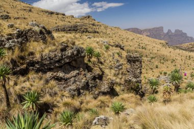 Simien dağlarının manzarası, Etiyopya