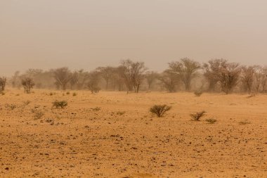Kuru bir bölge manzarası, Sudan