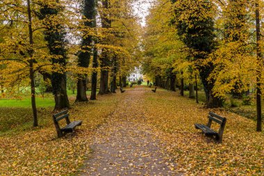 Çek Cumhuriyeti 'nin Castolovice kentindeki bir saray bahçesinin sonbahar manzarası