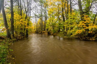 Çek Cumhuriyeti 'nde Ticha Orlice Nehri