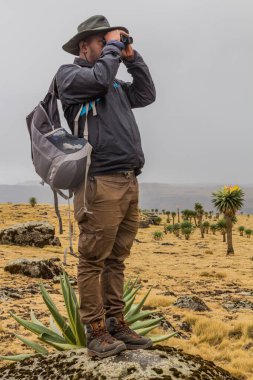 SIMIEN MOUNTAINS, ETHIOPIA - 16 Mart 2019: Simien dağları, Etiyopya 'da dürbün kullanarak vahşi yaşamı arayan yerel rehber