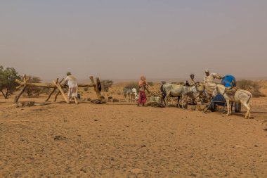 Nehir Nil Eyaleti, Sudan - 5 Mart 2019: Sudan 'ın kuru bir bölgesindeki bir kuyuda köylüler.