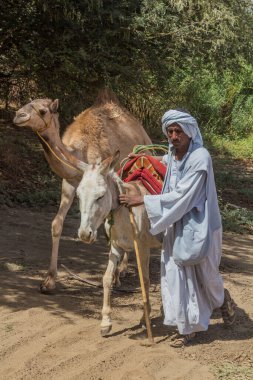 Yaşlı DONGOLA, Sudan - 1 Mart 2019: Yaşlı Dongola, Sudan yakınlarında yerel bir adam