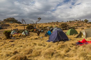 Simien Dağları, Etiyopya - 16 Mart 2019: Simien Dağları, Etiyopya