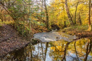 Çek Cumhuriyeti Prag 'daki Botic akışının sonbahar manzarası